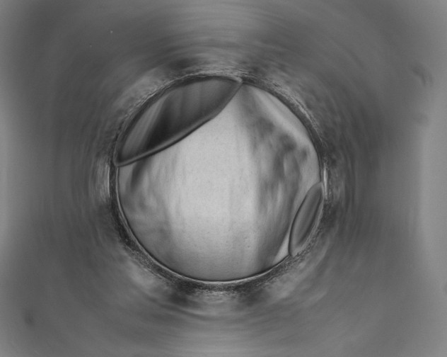 X0000112040205200908311243