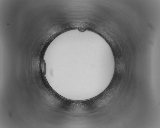 X0000112040207200908311243