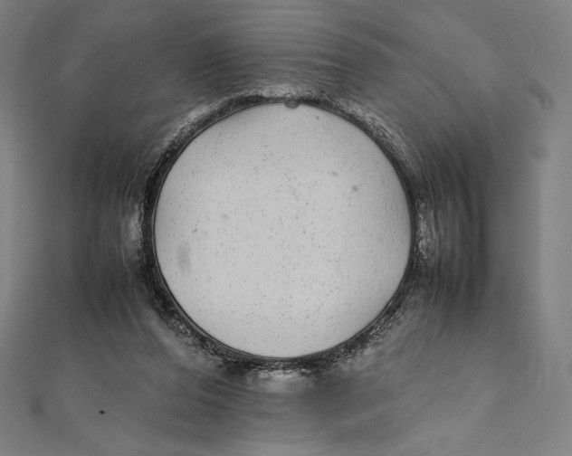 X0000112040208200908311243