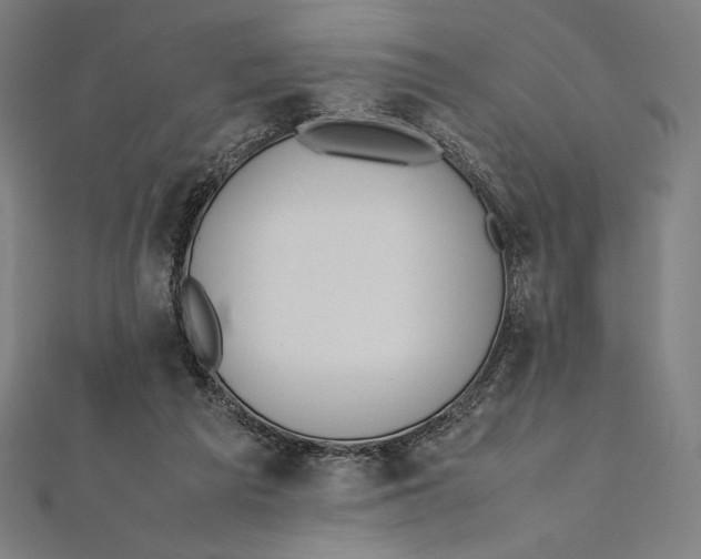 X0000112040209200908311243