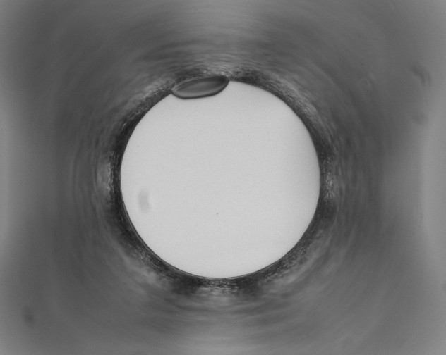 X0000112040211200908311243