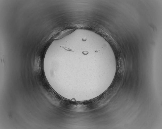 X0000112040212200908311243
