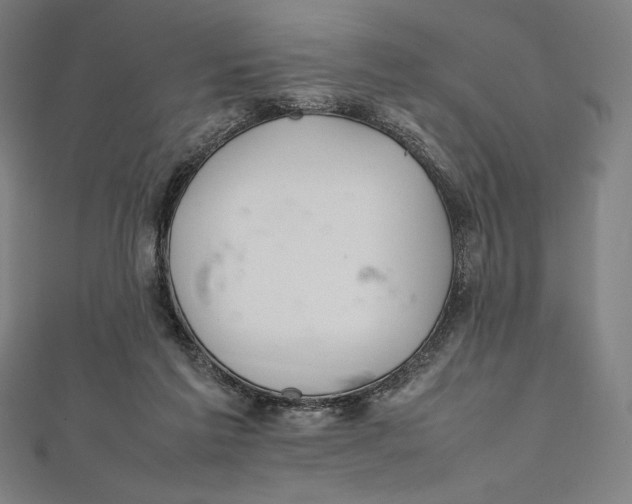 X0000112040213200908311243