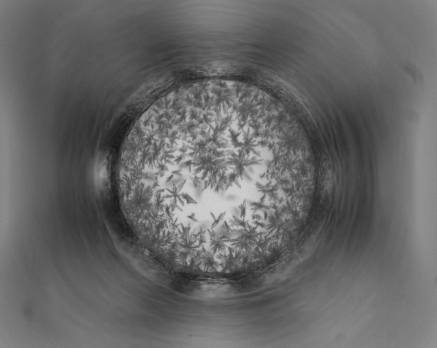 X0000112040214200908311243