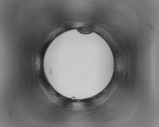 X0000112040216200908311243