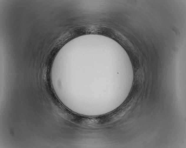 X0000112040217200908311243