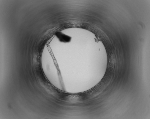 X0000112040218200908311243