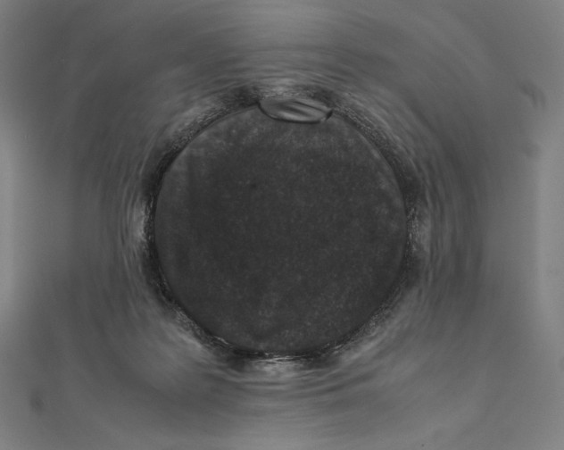 X0000112040219200908311243