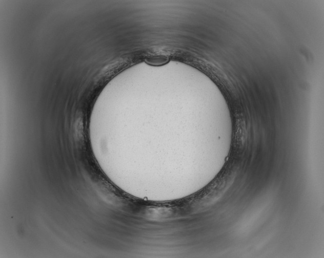 X0000112040220200908311243