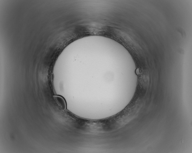 X0000112040221200908311243