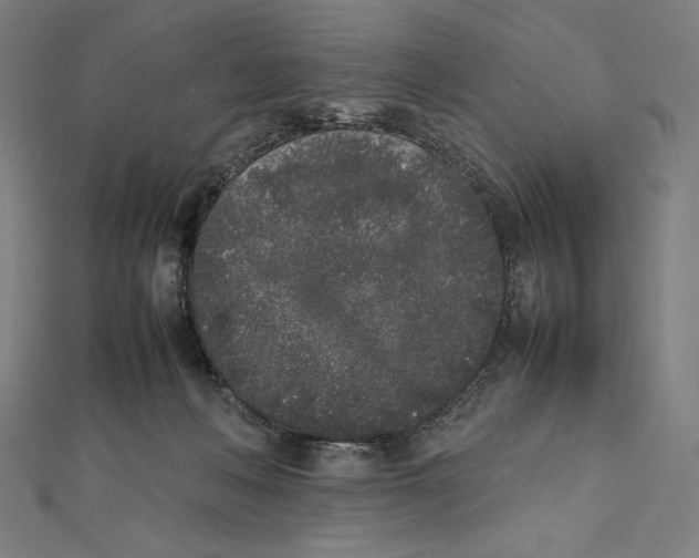 X0000112040222200908311243