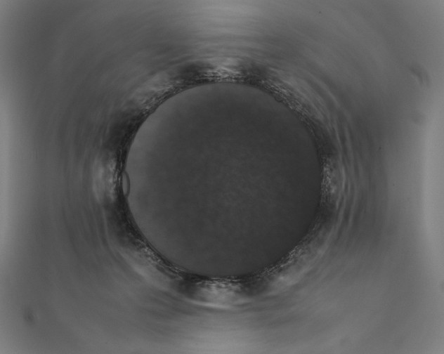 X0000112040223200908311243