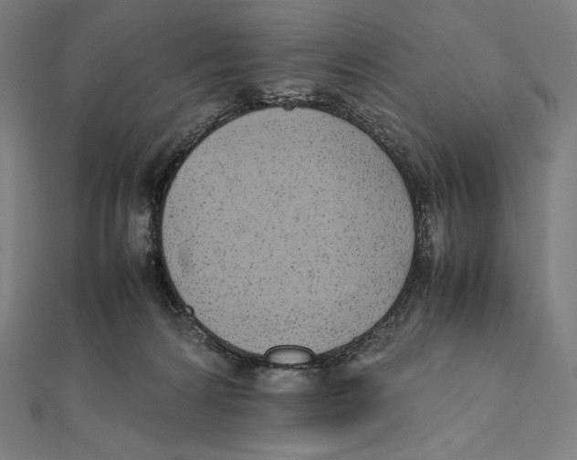 X0000112040224200908311243