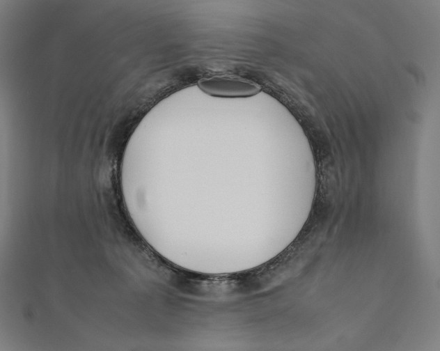X0000112040225200908311243