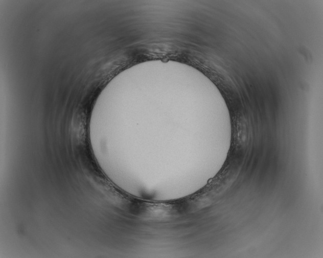 X0000112040226200908311243