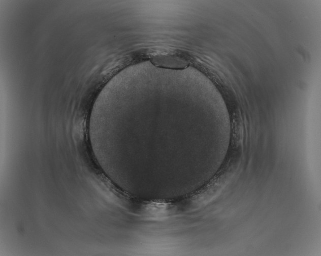 X0000112040227200908311243