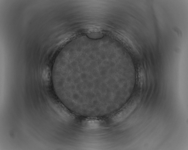 X0000112040228200908311243