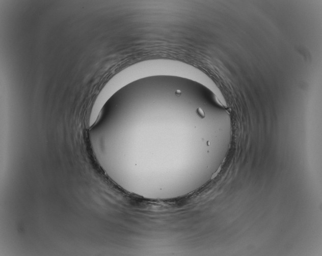 X0000112040229200908311243