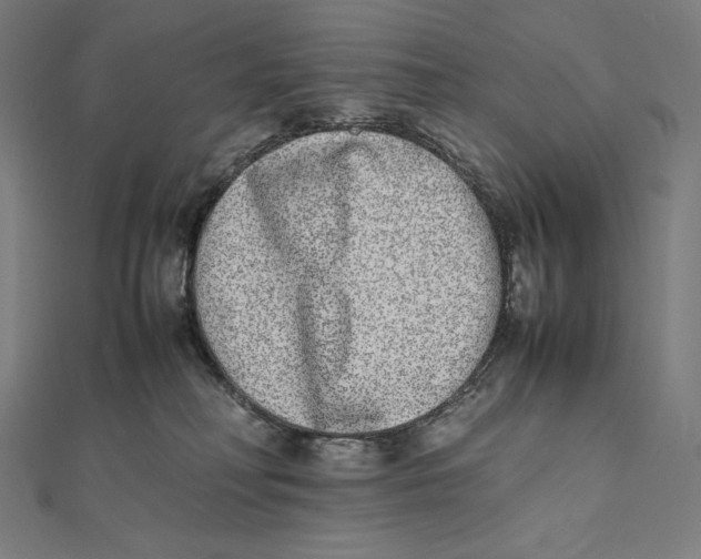X0000112040230200908311243
