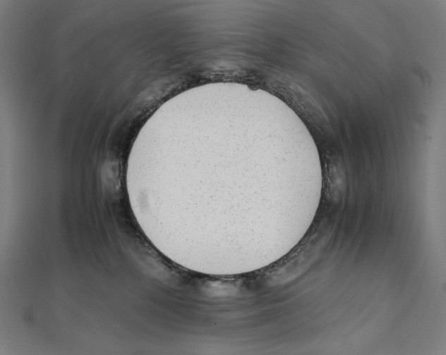 X0000112040232200908311242