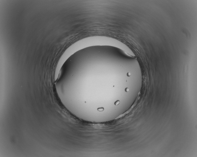 X0000112040233200908311242