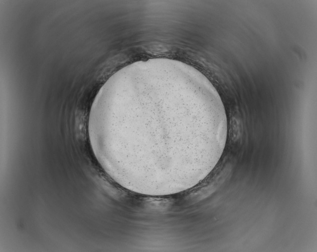 X0000112040234200908311242