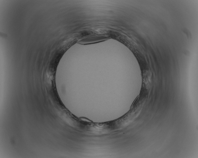 X0000112040235200908311242