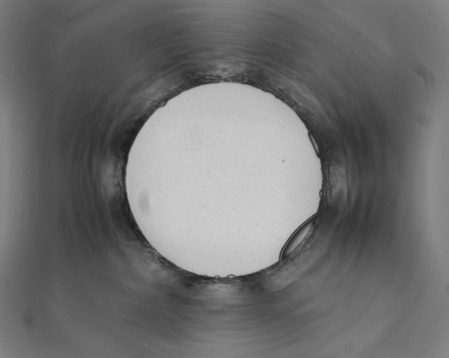 X0000112040236200908311242