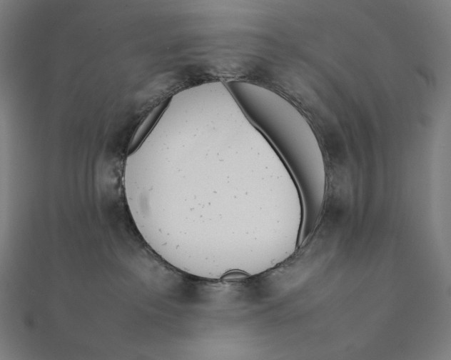 X0000112040237200908311242