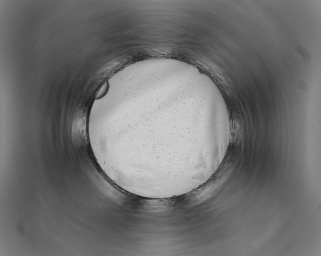 X0000112040238200908311242
