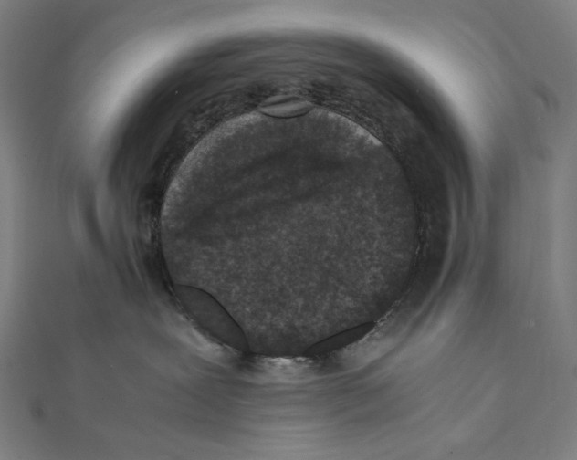 X0000112040239200908311242