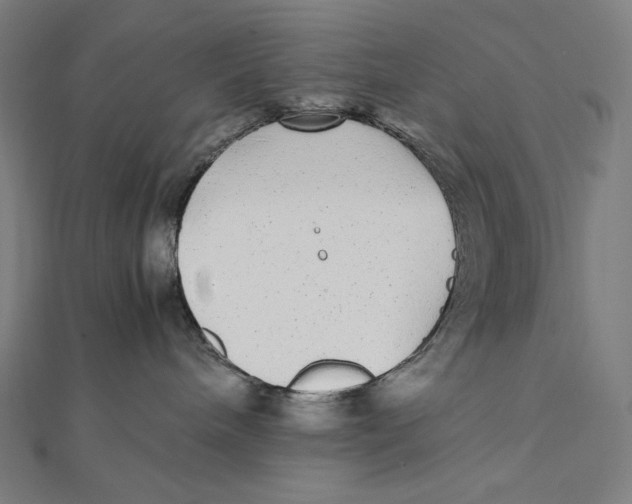 X0000112040240200908311242