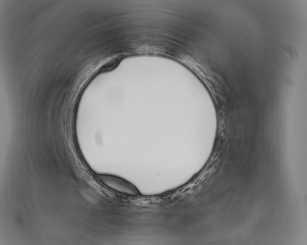 X0000112040241200908311242