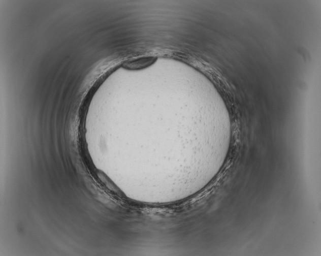 X0000112040242200908311242