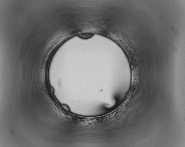X0000112040243200908311242
