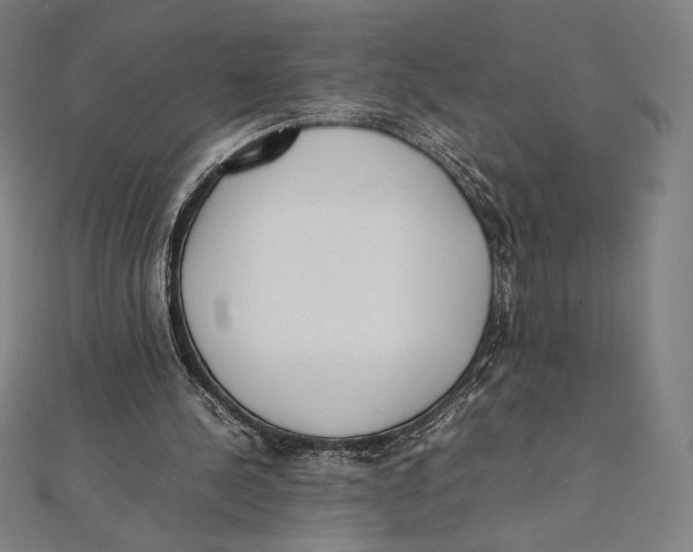 X0000112040244200908311242