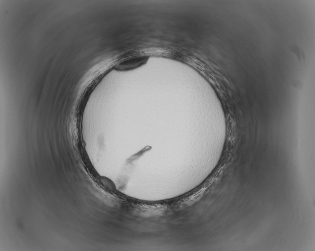 X0000112040245200908311242