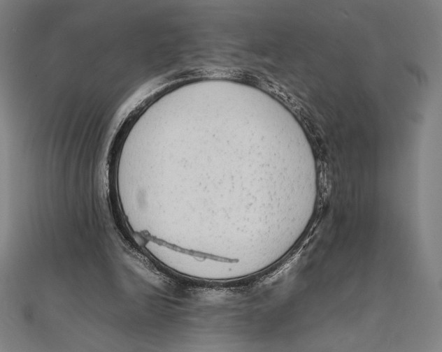 X0000112040246200908311242