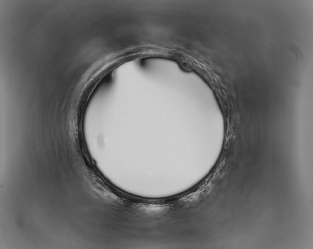 X0000112040247200908311242