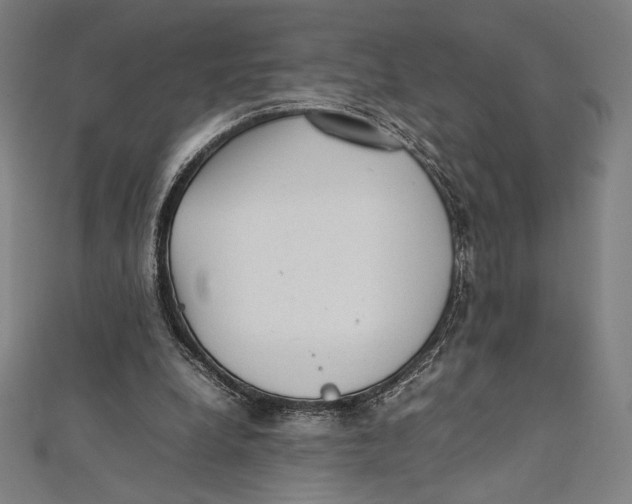 X0000112040248200908311242