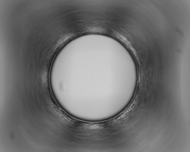 X0000112040249200908311242