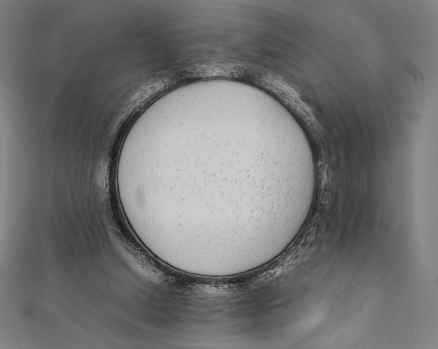 X0000112040250200908311242