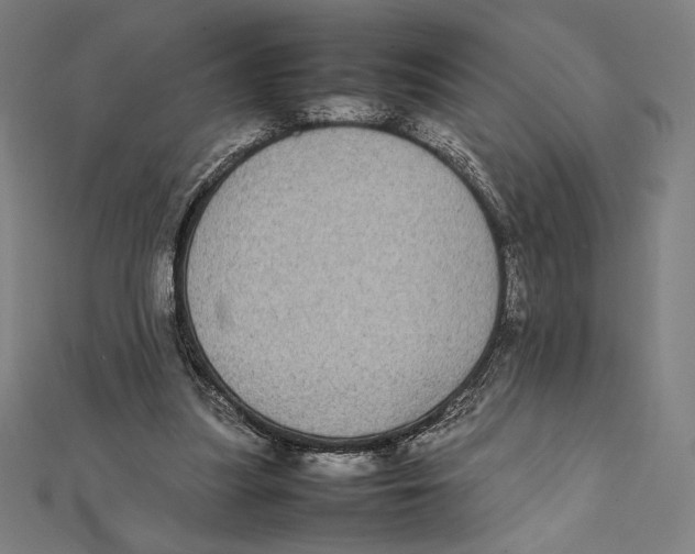 X0000112040251200908311242