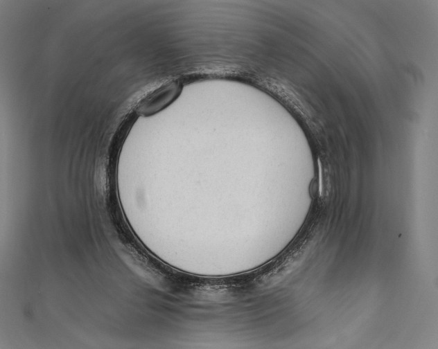 X0000112040252200908311242