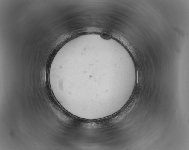 X0000112040253200908311242