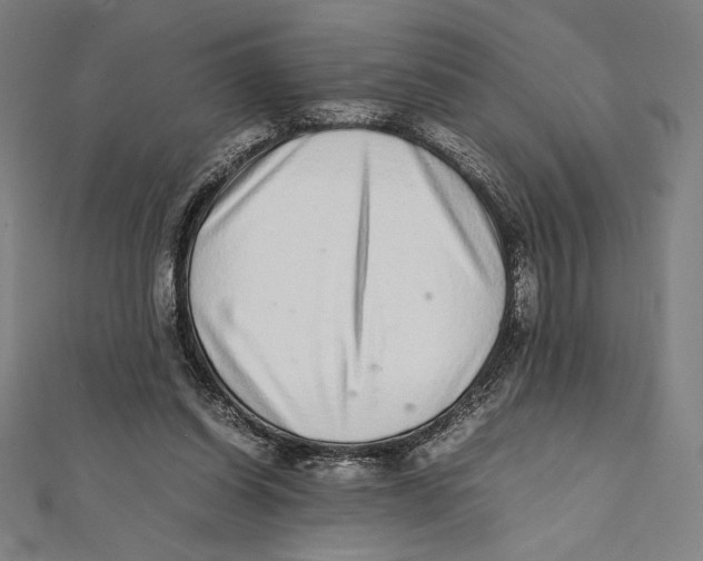 X0000112040254200908311242