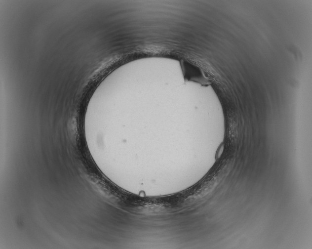 X0000112040256200908311242