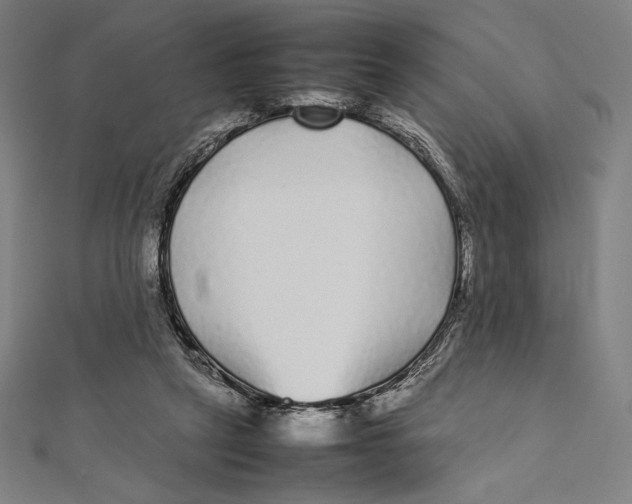 X0000112040257200908311242