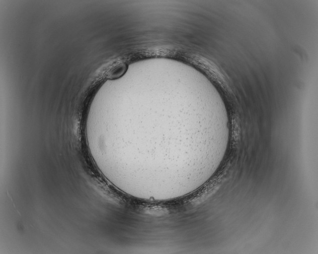 X0000112040258200908311242