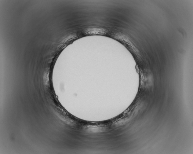 X0000112040259200908311242